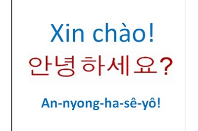 Gia Sư Tiếng Hàn Hà Nội - Thành Thạo Sau 3-6 Tháng| Gia Sư Tất Đạt