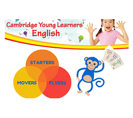 Tổng Hợp Thông Tin Về Chứng Chỉ Cambridge