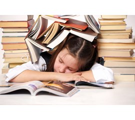 Cha Mẹ Giúp Con Giảm Áp Lực Học Tập Ở Lớp Tiểu Học Như Thế Nào?