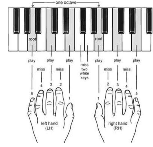 Hướng Dẫn Tự Học Piano Cho Người Mới Bắt Đầu
