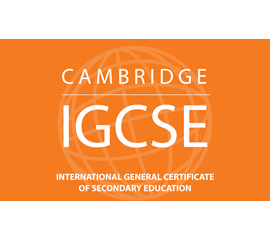 Lộ Trình Học IGCSE: Nên Bắt Đầu Từ Đâu Để Học Hiệu Quả Nhất