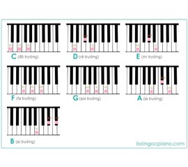 Những Điều Cơ Bản Khi Học Piano