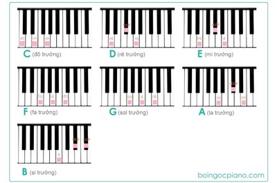 Những Điều Cơ Bản Khi Học Piano