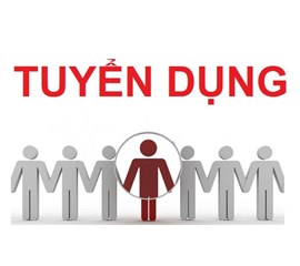 Những Vị Trí Gia Sư “Vàng” Mà Các Trung Tâm Thường Tuyển Dụng
