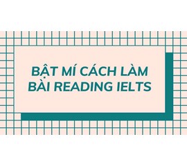 Phương Pháp Luyện Thi Và Thứ Tự Làm Bài Reading Ielts Cực Chuẩn