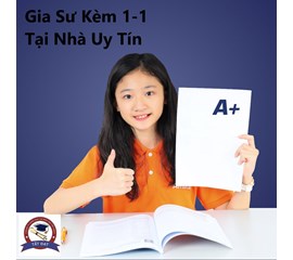 Có Nên Thuê Gia Sư Là Sinh Viên Cho Con ? Ưu Và Nhược Điểm 