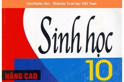 Tìm Gấp! Gia Sư Sinh 10 - Trung Tâm Nào Uy Tín Nhất Tại Hà Nội ?
