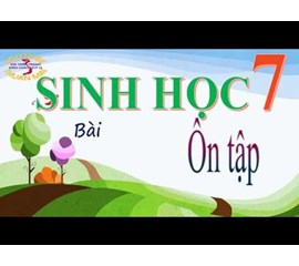 Tìm Gấp! Gia  Sư Sinh 7 - Uy Tín Số 1 Tại  HN, Có Học thử 2b miễn phí