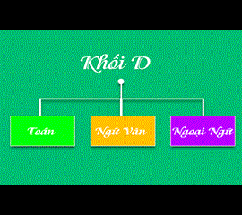 Gia Sư Luyện Thi Đại Học Khối D - Nắm Chắc Kiến Thức, Vững Bước Tương Lai