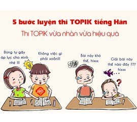 Tự Ôn Thi Topik II Như Thế Nào Cho Hiệu Quả  ? 