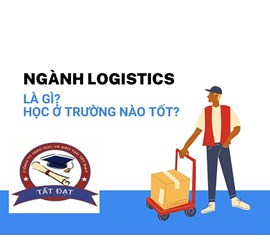 Top Những Trường Đào Tạo Ngành Logistics 2023-2024| Hà Nội & HCM