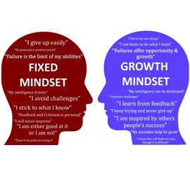 SỰ KHÁC NHAU GIỮA FIXED MINDSET VÀ GROWTH MINDSET LÀ GÌ?