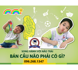 Bí Quyết Phát Triển Cân Bằng Hai Bán Cầu Não - Hiệu Quả Nhất