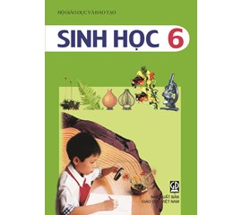 Tìm Gấp! Gia  Sư Sinh 6 - Uy Tín Số 1 Tại  HN, Có Học thử 2b miễn phí