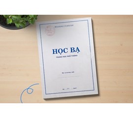 Sự Quan Trọng Của Học Bạ Trong Quá Trình Xét Tuyển Đại Học