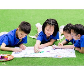 Nên Chọn Trường Tiểu Học Cho Con Như Thế Nào?